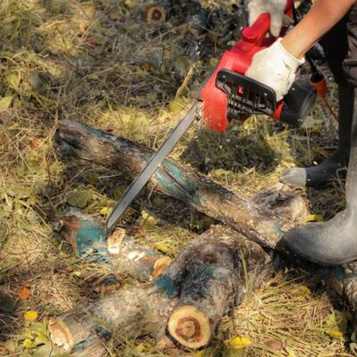 Osoba używa piły łańcuchowej do wycinki i przycinania drzew.