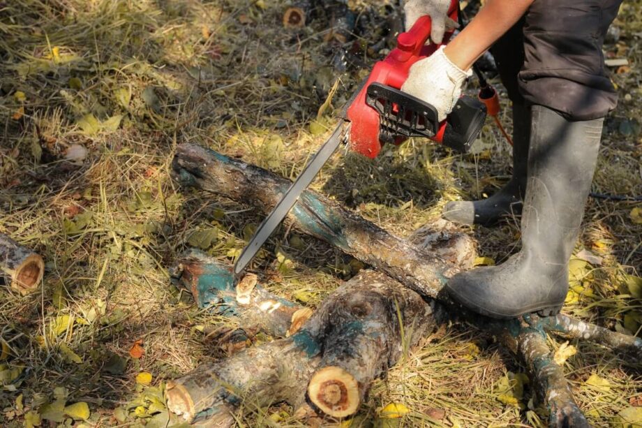 Osoba używa piły łańcuchowej do wycinki i przycinania drzew.